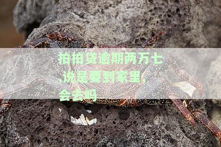拍拍贷逾期两万七,说是要到家里,会去吗-拍拍贷逾期两万七,说是要到家里,会去吗是真的吗