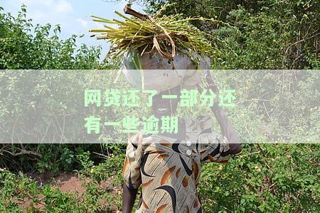 网贷还了一部分还有一些逾期2年怎样处理，如何处理网贷逾期两年且只还了一部分的情况？