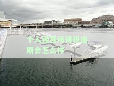 个人经营所得税逾期会怎么样-个人经营所得税逾期会怎么样处罚