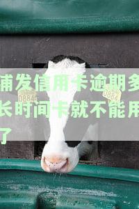 浦发信用卡逾期，警惕！浦发信用卡逾期可能带来的严重后果