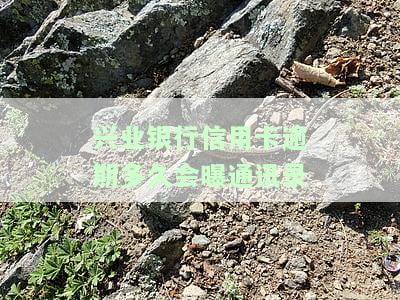 兴业银行信用卡逾期多久会曝通讯录信息，兴业银行信用卡逾期多长时间会导致个人信息被曝光？