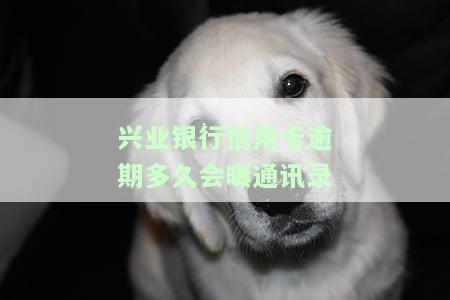 兴业银行逾期90天未还，即将来临，实地探访或上门催收？