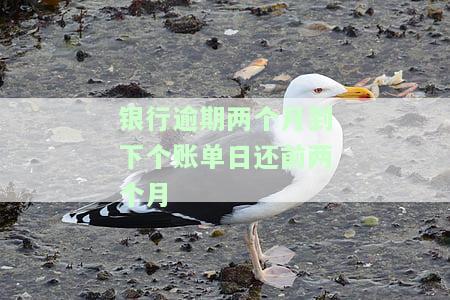 逾期两个月还款后能否取出？还款后多久能使用？