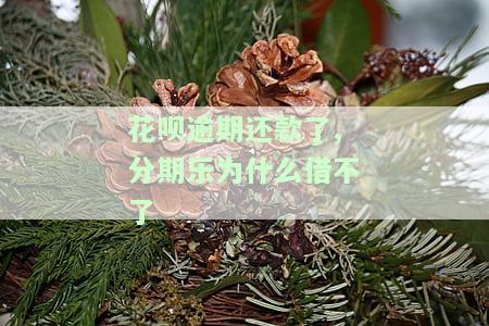 花呗逾期还可以再分期乐上借钱吗，花呗逾期后能否在分期乐上继续借款？