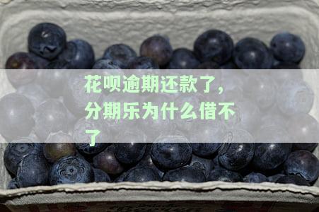 花呗逾期还款了,分期乐为什么借不了