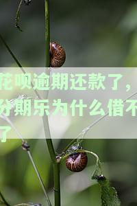 花呗逾期后不能分期还款是否关闭花呗？影响及解决方法
