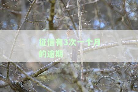 征信有3次一个月的逾期，如何解决？