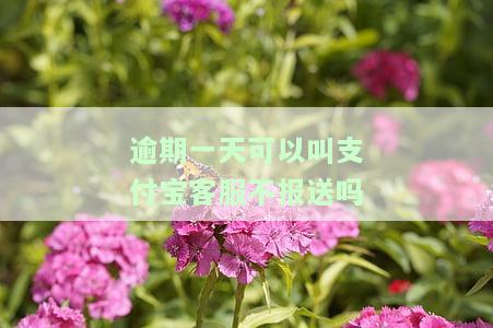 逾期一天可以叫支付宝客服不报送吗-逾期一天可以叫支付宝客服不报送吗