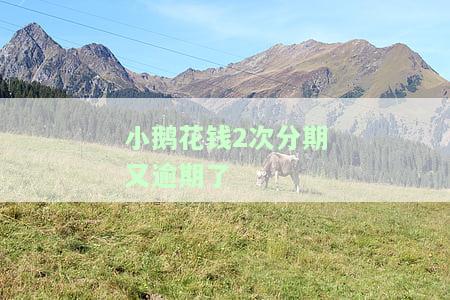小鹅花钱逾期后如何部分还款？详细步骤解析