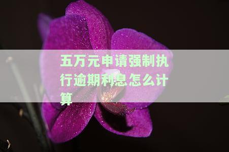 欠五万强制执行：还款无望，执行措有哪些？