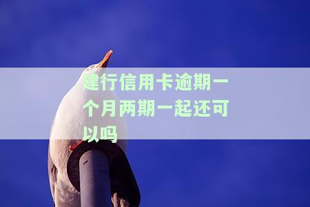 建行信用卡22000逾期一年，利息多少？影响有哪些？