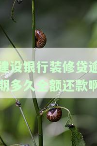 建设银行装修贷逾期多久全额还款啊怎么还，如何全额还款建设银行装修贷？逾期期限是多久？