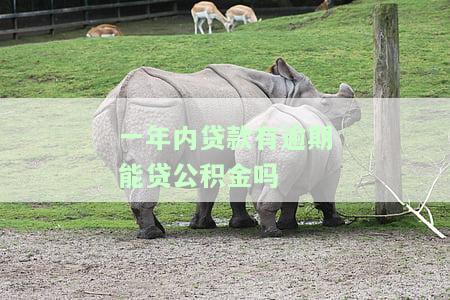 一年内贷款有逾期能贷公积金吗怎么办，如何解决贷款逾期问题，影响公积金贷款的申请？