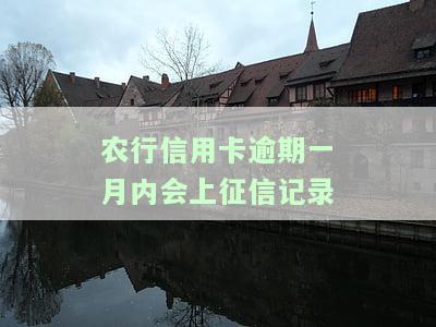 农行信用卡逾期一月内会上征信记录