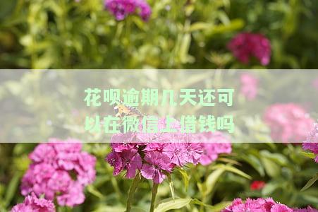 花呗逾期几天后还款，是否会影响贷款？