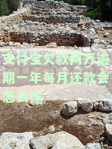 支付宝欠两万逾期一年了会被判刑吗，支付宝欠款两万逾期一年是否会被判刑？