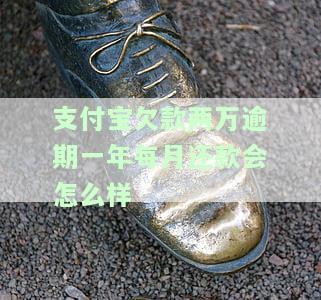 支付宝欠款两万逾期一年每月还款会怎么样-支付宝欠款两万逾期一年每月还款会怎么样吗