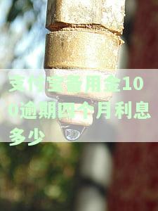 支付宝备用金逾期100块钱一个月会怎么样，逾期100元，支付宝备用金会产生什么后果？