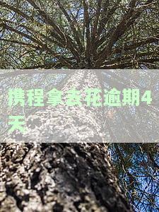 携程拿去花逾期4天-携程拿去花逾期4天还能最低还款吗
