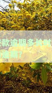 贷款逾期多久定为损失？逾期多久成损失罪、需赔偿？全解析