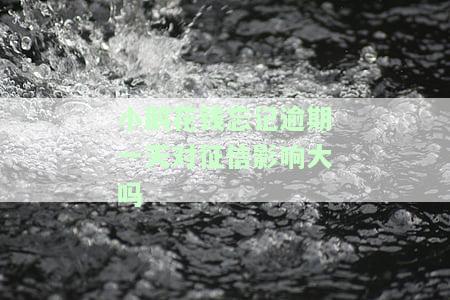 小鹅花钱逾期1天解决方法及影响，需重视