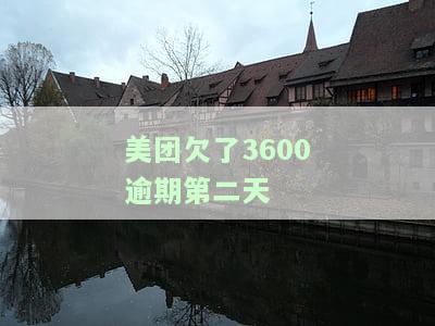 美团逾期两天还款后能否再次借款？安全性如何？