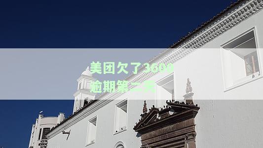 美团欠了3600逾期第二天-美团欠了3600逾期第二天还能用吗