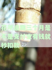 支付宝花呗逾期3个月还清会上征信吗，解答你的疑问：支付宝花呗逾期3个月后还清是否会影响个人征信记录？