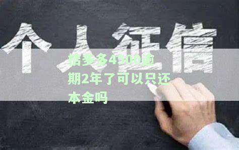 桔多多逾期2天还进去还能继续贷吗，桔多多逾期两天还款后，能否继续申请贷款？