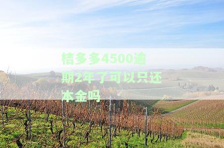 桔多多逾期8000会被起诉吗，逾期8000元，桔多多会采取法律手吗？