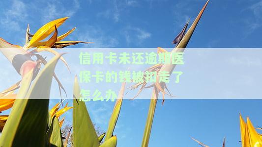 信用卡未还逾期医保卡的钱被扣走了怎么办理，信用卡逾期导致医保卡余额被扣除，如何解决？