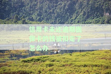 信用卡未还逾期医保卡的钱被扣走了怎么办