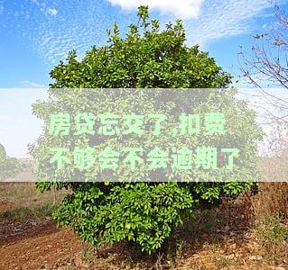 房贷忘交了,扣费不够会不会逾期了-房贷忘交了,扣费不够会不会逾期了呢