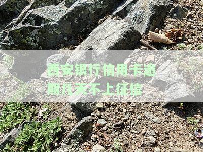 西安银行信用卡电话，查询西安银行信用卡服务？拨打这个电话即可！