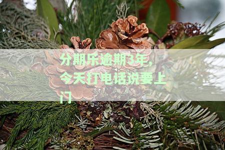 分期乐逾期给我打电话，我接了和她好好说，会不会再打给我？还会不会打给通讯录？