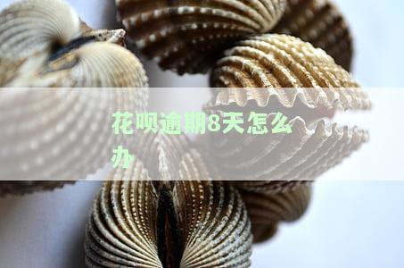 花呗逾期8天怎么办-花呗逾期8天怎么办呢