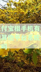 支付宝租手机逾期上征信吗？影响及安全性解析