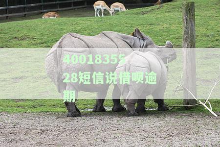 借呗逾期收到的短信内容，重要提醒：借呗逾期将收到何种短信通知？
