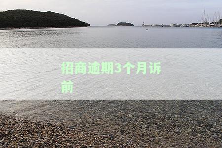 招商银行逾期三个月，今日仍未还款，或将被移交给法院进行强制执行