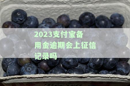 2023支付宝备用金逾期会否上征信？求解答！