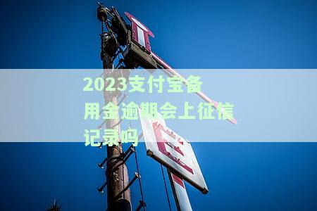 2023支付宝备用金逾期会上征信记录吗怎么办，【急】支付宝备用金逾期是否会影响征信？解决办法大公开！