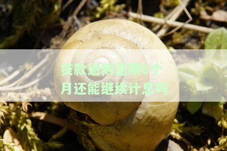银行贷款逾期6个月，警示：银行贷款逾期6个月，影响信用记录及法律责任