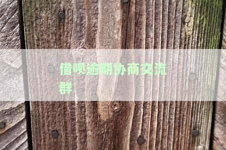 借呗逾期想协商还款？如何拨打投诉电话进行处理？