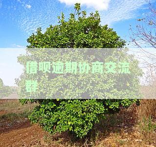 借呗逾期协商还本金技巧：95188还款协商步骤全攻略
