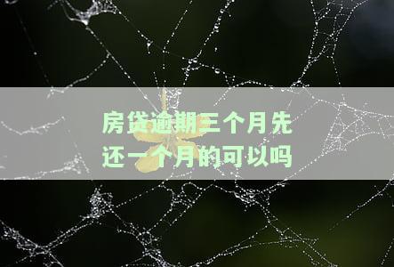 房贷逾期三个月先还一个月可以吗？有何影响？
