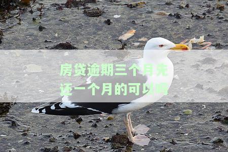 房贷逾期三个月还款了银行还会收房子吗，房贷逾期三个月，银行是否会收回房屋？