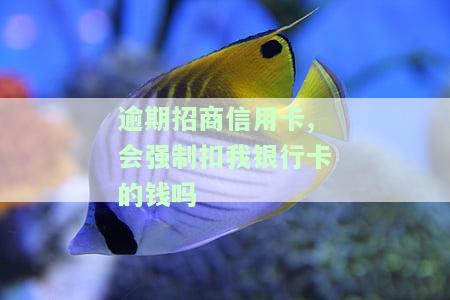逾期招商信用卡,会强制扣我银行卡的钱吗怎么办，信用卡逾期未还款，是否会自动扣除银行卡里的钱？解决办法大揭秘！