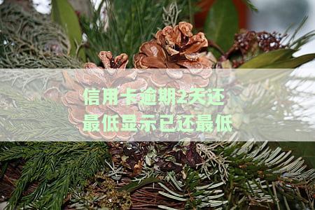 最低还款显示逾期，警惕！最低还款不代表无压力，未按时还清仍可能被标注为逾期