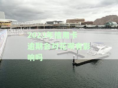 2023年信用卡逾期会对花呗有影响吗视频，2023年信用卡逾期如何影响你的花呗？看视频解答！