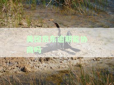 京东逾期一天，美团还能再借吗？安全吗？